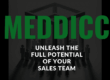 What is MEDDICC?